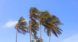 Novo ciclone extratropical se forma no continente e traz ventos fortes para o RS