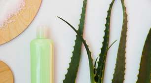 Descubra o poder da Aloe Vera nos cuidados medicinais da pele