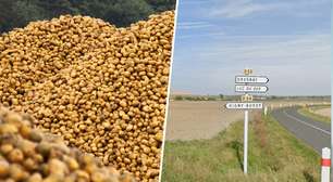 Um agricultor empilhou 500 toneladas de batatas para quem quisesse levá-las de graça e um grande movimento aconteceu
