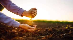 SNAG11 bate recorde de liquidez no ano e se reafirma como referência entre Fiagros