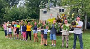 Maior girassol do mundo alcança altura equivalente a prédio de três andares