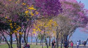 Primavera começa com frio e expectativa de La Niña no Rio Grande do Sul