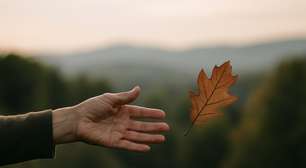 Desapegos necessários: como se libertar para fluir com leveza