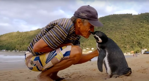 Como a amizade entre um pescador e um pinguim resgatado conquistou o mundo e virou lição ambiental
