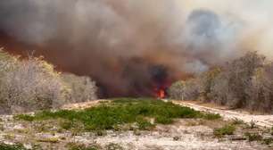 Incêndios de grandes proporções atingem Litoral Leste do Ceará