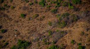 Relatório mostra possível conexão entre JBS e fazenda com histórico de desmatamento