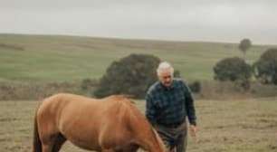 Aldo Vendramin: genética e manejo dos cavalos Crioulos