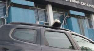 Pernambuco: adolescente é espancado, amarrado e leva dois tiros na cabeça