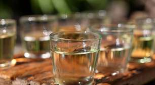 Refrigerante contaminado? Etanol? Veja o que é mito e o que é verdade sobre o metanol