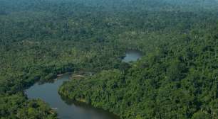 O que é o Fundo Florestas Tropicais e quais países já confirmaram contribuição econômica?