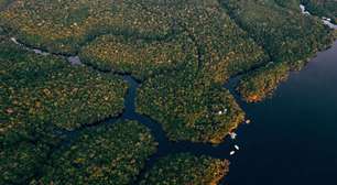 Quanto custa viajar para a Amazônia: preços de pacotes, hospedagem e transporte