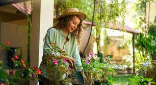 Feng shui: 6 conselhos para criar um jardim com boas energias