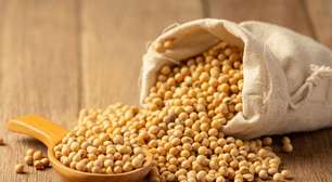 Brasil aumenta exportação de soja para China após suspensão de grãos dos EUA