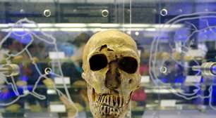 Berço da Humanidade pode ser visitado, na África do Sul