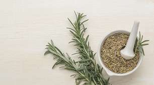 Alecrim é bom para quê? Conheça 7 benefícios