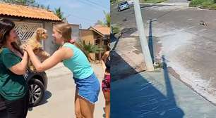 Cachorra flagrada sendo abandonada é adotada por família no interior de São Paulo