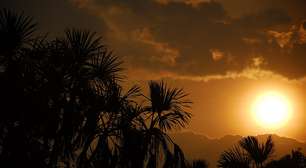 7 dicas para transformar seu passeio no Parque Grande Sertão Veredas em uma experiência única