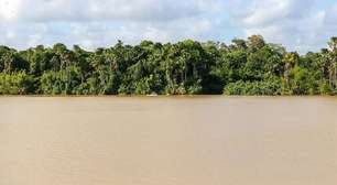 Sede da COP30, Brasil 'sabota' o evento ao apostar em petróleo na Amazônia e põe em risco líderança climática