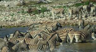 Namíbia tem um dos maiores parques naturais do mundo