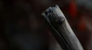 Homem que matou os pais da ex a pauladas após ser rejeitado é condenado a 94 anos de prisão no Paraná