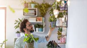 7 plantas ideais para decorar a casa e atrair boas energias