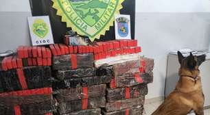 Três pessoas são presas e 300 quilos de drogas são apreendidas em Curitiba; cão farejador auxiliou nas buscas