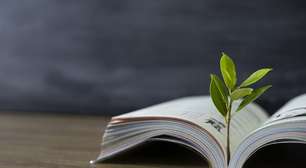 Melancia proibida, pena maior em feriado e formigueiro vetado: as mais curiosas leis ambientais do Brasil