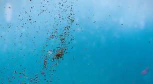 Cientistas revelam como a poluição por plásticos circula nos oceanos à medida que se degrada
