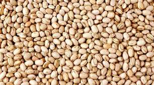 Feijão engorda? Conheça os benefícios desse alimento