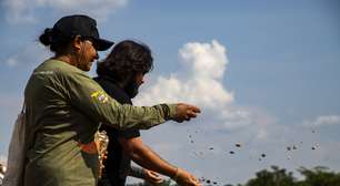 "Não restaura só a floresta, restaura vidas": como rede comunitária de coleta de sementes transforma a Amazônia e o Cerrado