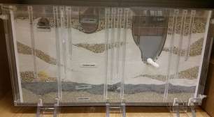 Reservatório de água remonta a 6 milhões de anos; conheça os maiores aquíferos do mundo