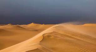 Indo na "contramão" da Amazônia, cientistas preveem que o Saara se tornará mais verde e úmido por conta do aquecimento global