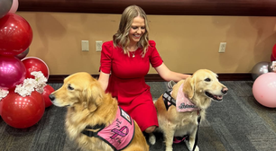 'Milagre' no hospital: cão de terapia ajuda paciente a sair do coma