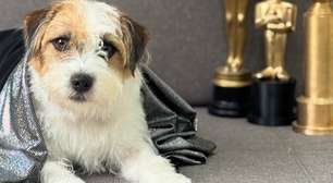 Bira, cão de 'Dona de Mim', também foi Pimpão em 'Ainda Estou Aqui'