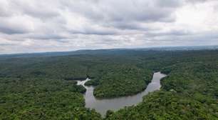 Floresta urbana na Grande SP vira parque estadual; veja onde