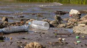 Humanidade gera mais de 400 milhões de toneladas de plástico