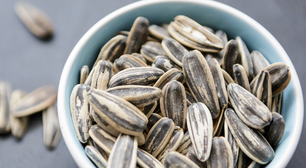 Em parceria com universidade da Alemanha, pesquisadores da UNICAMP acham na semente de girassol um substituto para carne que é altamente nutritivo