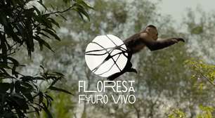 Vivo e re.green se unem para restaurar área da floresta amazônica equivalente a 740 campos de futebol