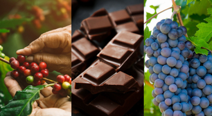 Chocolate, café e vinho: mesmo que métodos de intervenção climática deixem o ar mais "frio", cientistas não garantem que estes alimentos continuarão disponíveis no mercado