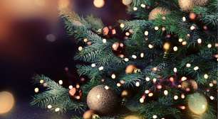 Árvore de Natal: descubra qual a data certa para montar
