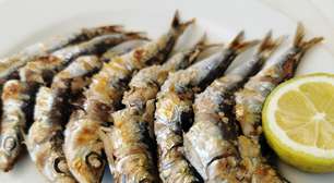 Sardinha ajuda a emagrecer? Conheça os benefícios desse peixe poderoso na dieta