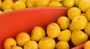 Você conhece o nanche? 6 motivos para incluir o fruto na sua dieta