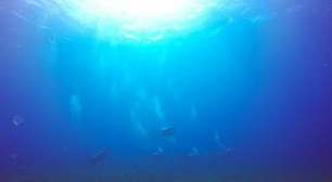 Cápsula feita para 'viver' no fundo do mar tem cozinha e beliches; veja!