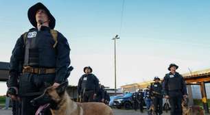 Treinamento com cães reforça segurança em presídios gaúchos