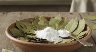 Misturar louro com fermento em pó pode ser a solução perfeita para eliminar o cheiro de gordura da cozinha