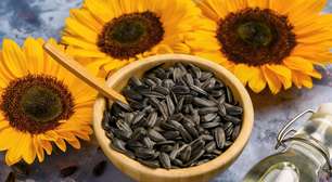 6 benefícios das sementes de girassol para a saúde e como usá-las