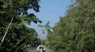 Ilha do chocolate amazônico terá roteiro turístico, durante a COP30