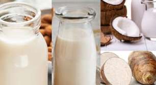 Receita de 5 leites vegetais: fáceis e sem conservantes