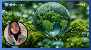 O que é cultura regenerativa e quais soluções ela oferece para impulsionar seu negócio