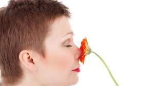 Livro dos Recordes aponta o que há de mais fedorento em diversas 'categorias'